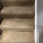 Carpet & Upholstery Cleaning