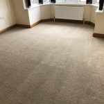 Carpet & Upholstery Cleaning