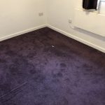 Tenancy / Property Cleaning