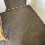 Carpet & Upholstery Cleaning